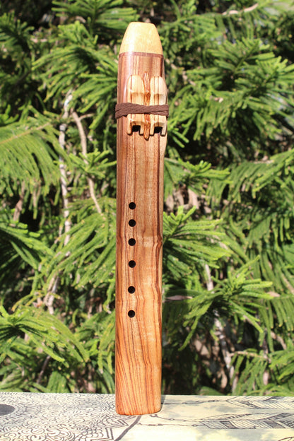 G Minor Camphor Drone Flute 528Hz